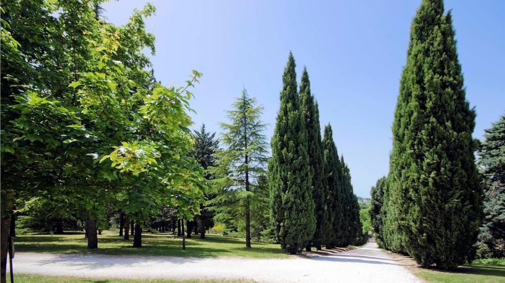 Convento Di San Francesco Mondaino Panzió Kültér fotó
